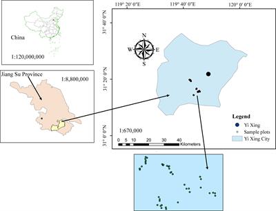 Modeling stand biomass for Moso bamboo forests in Eastern China